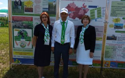 Выставка «День поля в Татарстане – 2019»