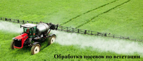 Советы аграриям: Как эффективно проводить комплексную защиту по ...