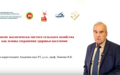 Органическое сельское хозяйство: как производить экологически чистые продукты питания