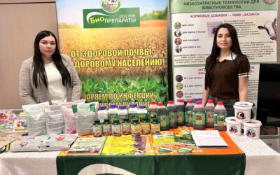 Двенадцатая сессия Совета Осиновского сельского поселения Зеленодольского муниципального района пятого созыва